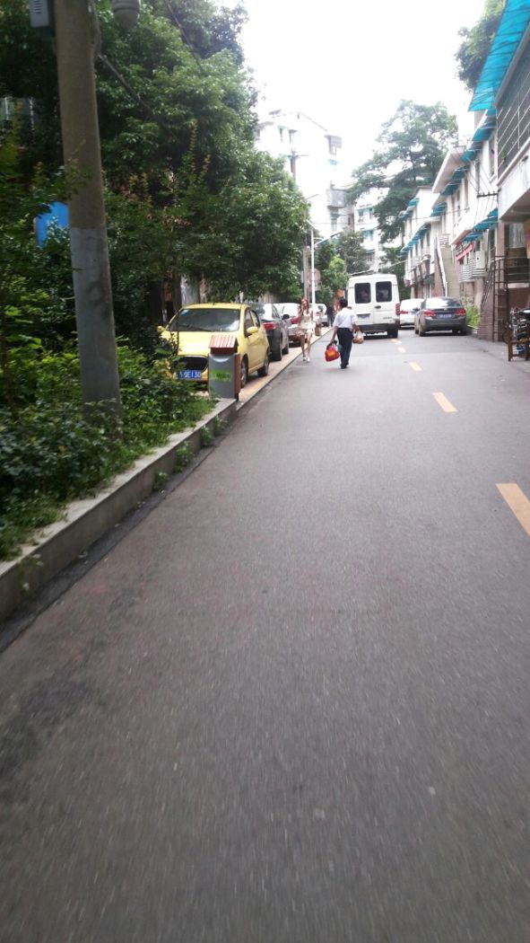 实景图