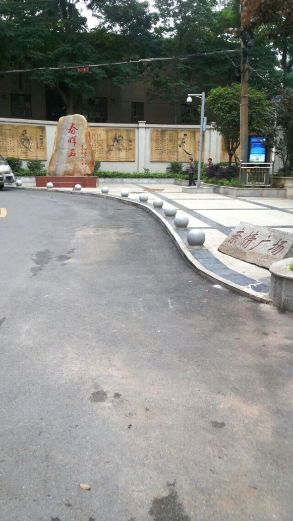 实景图