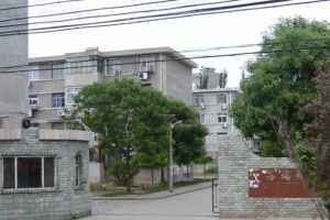 茶坞铁路 3室2厅 南 北