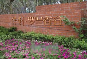保利罗谷小区1室1厅南