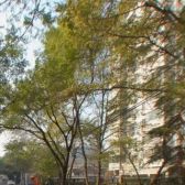 西城 金融街私产平房 双证齐全 环境好 紧邻西单地铁