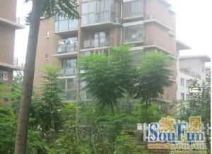 八里桥南院南北通透两居室小区中间位置