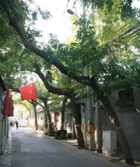 细管胡同1室0厅北