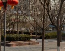 后局大院胡同 1室1厅 东