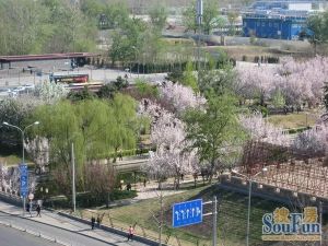 鼓楼外大街52号1室1厅东