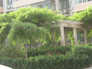 羊坊店东路5号院2室1厅南