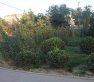 石龙北路27号院2室1厅南北