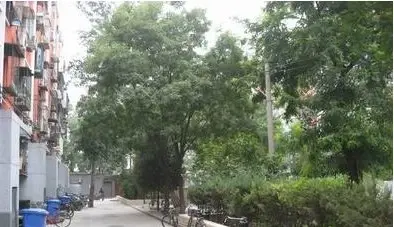 北蜂窝中路2号院实景图