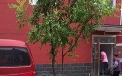 捷强花园实景图