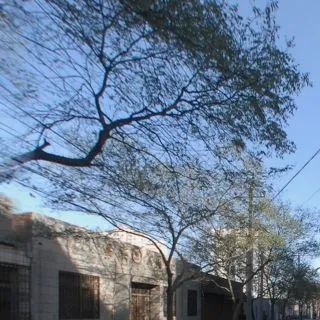 小区相关图
