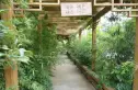 太平街小区实景图