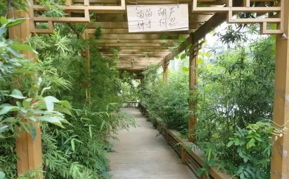太平街小区实景图