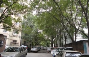 张仪村4号院1室1厅南北