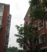 东经路19号院3室1厅东西