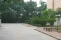 刘庄新村实景图
