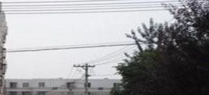 奥林匹克公园·奶牛厂宿舍·2室·1厅