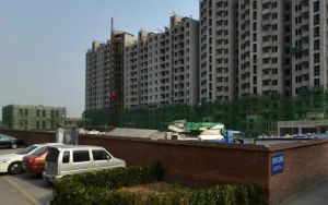 东海仪园1室1厅南