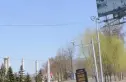 澳洲红酒庄园实景图