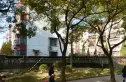 厂洼街甲5号院实景图