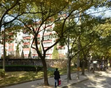 厂洼街甲5号院实景图