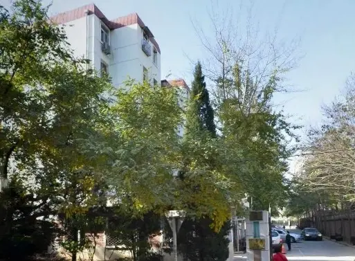 厂洼街甲5号院实景图
