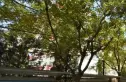 厂洼街甲5号院实景图