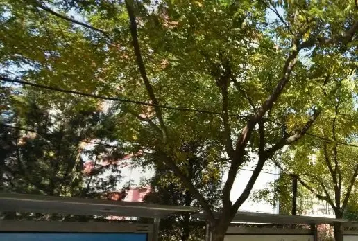 厂洼街甲5号院实景图