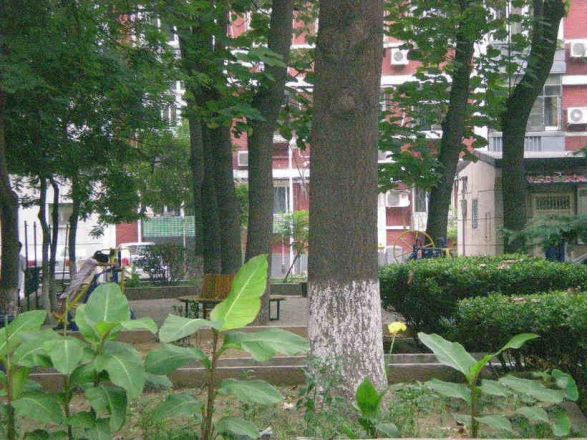 永定路85号院实景图