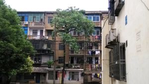 【桐梓坡小区】| 长沙市岳麓区桐梓坡95-2栋303号房产