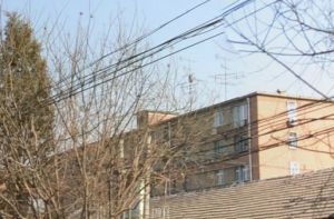昌平其它·红冶家属院·2室·1厅