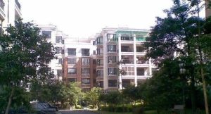 府东一条 2室1厅 南 北