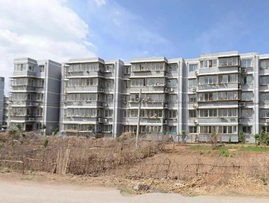 金明园实景图