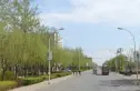 绿荫西区实景图