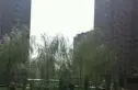 檀营生态城南区实景图
