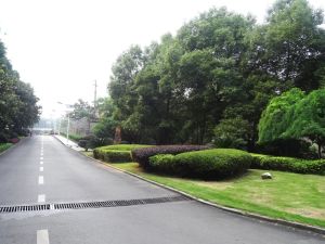 户型周正,采光好,地铁在侧,小区安静宜居,电梯房