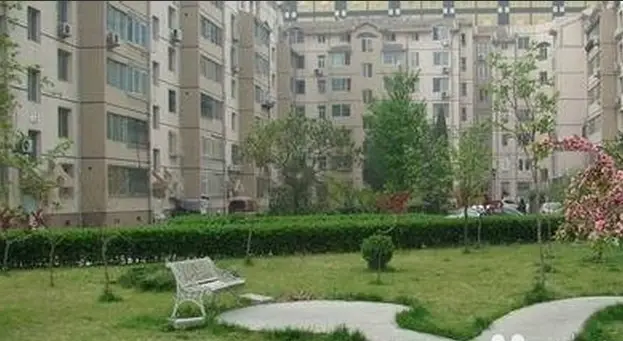 实景图