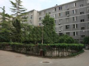 黄寺后身36号院满五年单位分房板楼中间层无遮挡