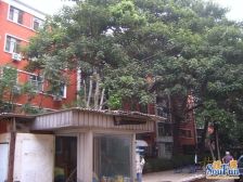 百万庄2号院2室1厅东