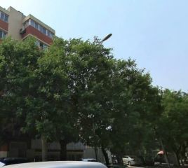 葱店胡同2号院2室1厅东
