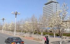 水库管理处家属院1室1厅南北