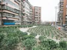 带配套房,带车库,户型方正,采光好