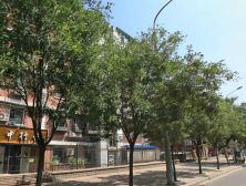 近南礼士路 复兴门 中间楼层 采光充足 小区干净整洁