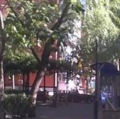 真武庙三里 1室1厅 南