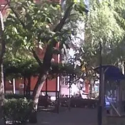 真武庙三里