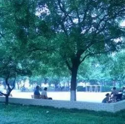 真武庙三里