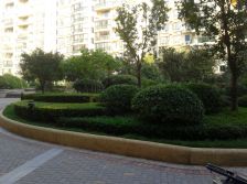 广电后花园安静纯板楼小洋房人工湖景出价就谈