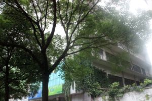 居家装修,精装两房,生活设施配套齐全