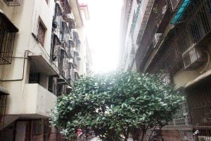 有车库出售业主自住精装三房两厅两卫三号线桂花公园