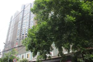 自住精装大五房,配套齐,出门就是地铁三号线