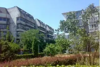 岔道小区实景图
